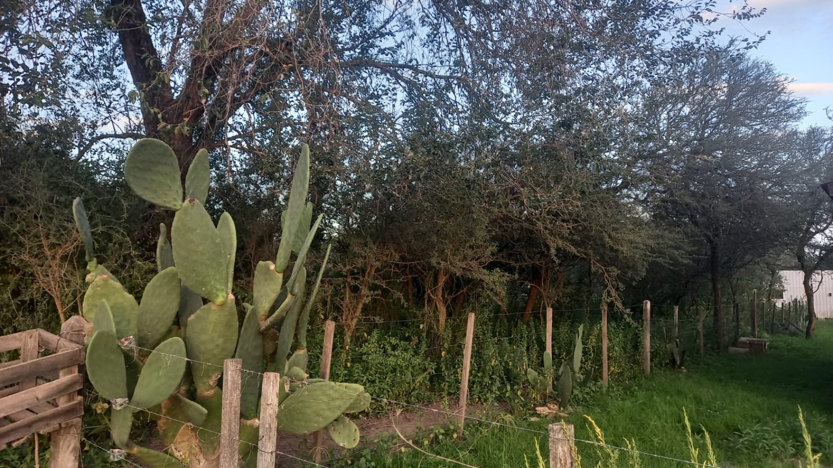 Calle Los Cerezos. El Corcovado.