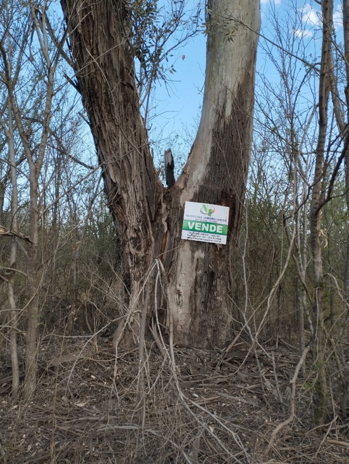 Lote en Villa del Parque