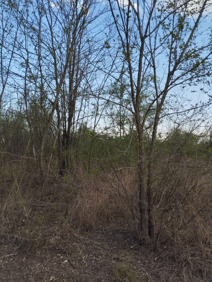 Lote en Villa del Parque