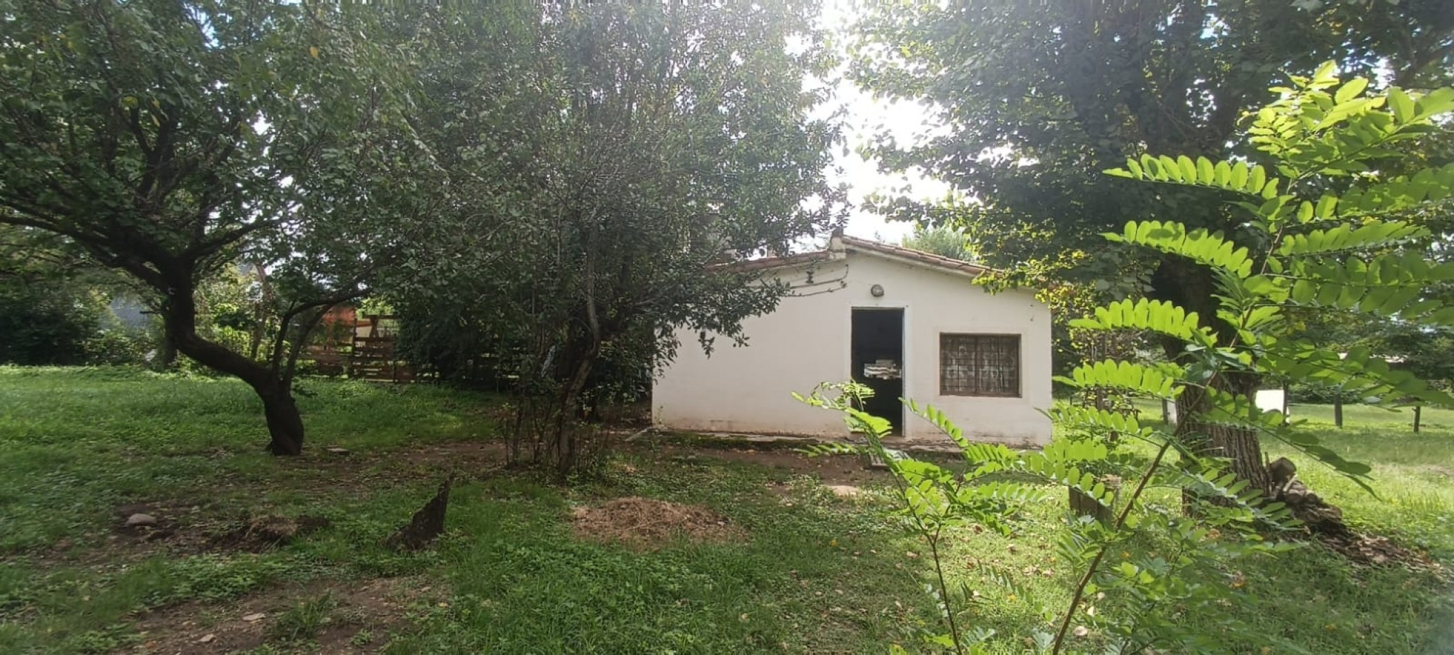 Casas con terreno. Calle 10 entre 3 y 4