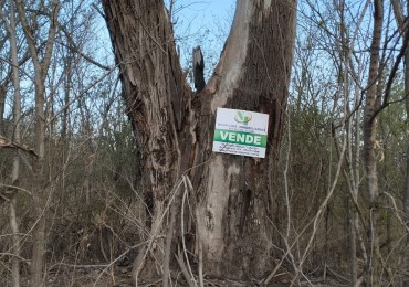 Lote en Villa del Parque